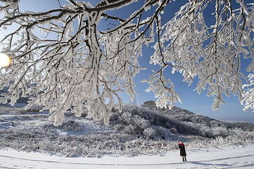 襄阳横冲国际滑雪场第 6 张图片
