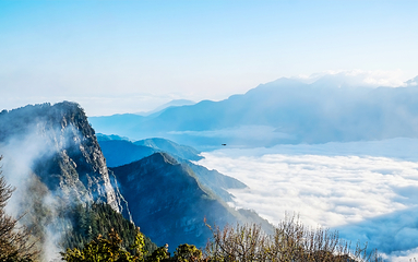 阿里山国家风景区第 4 张图片