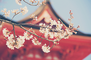 清水寺第 30 张图片