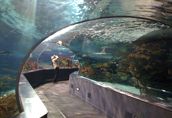 莱利大烟山水族馆第 13 张图片