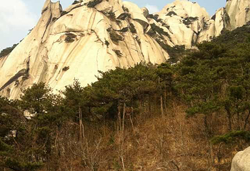 象鼻石第 1 张图片