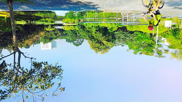 碧山－宏茂桥公园