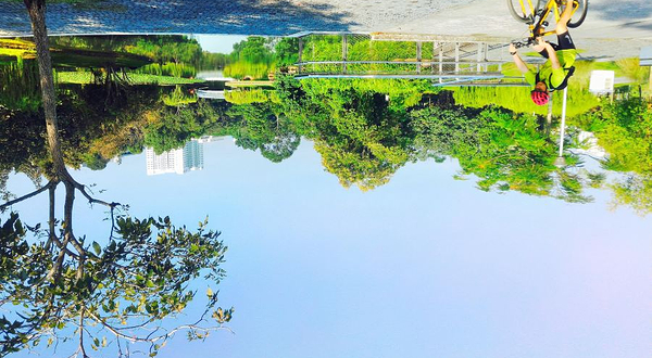 碧山－宏茂桥公园