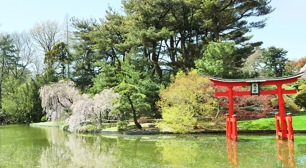 布鲁克林植物园