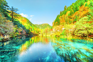 九寨沟风景区第 659 张图片
