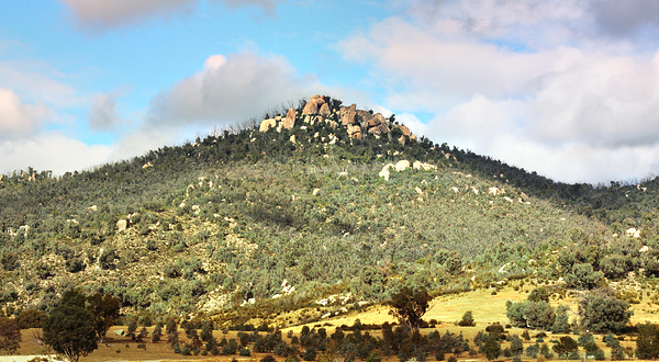 特宾比拉自然保护区