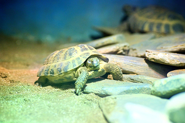 伯恩茅斯水族馆第 7 张图片