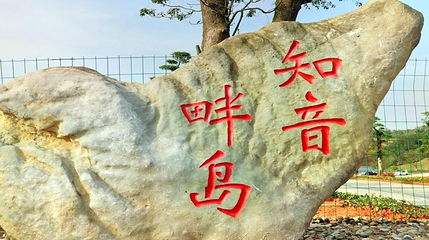 知音畔岛第 1 张图片