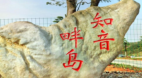 知音畔岛