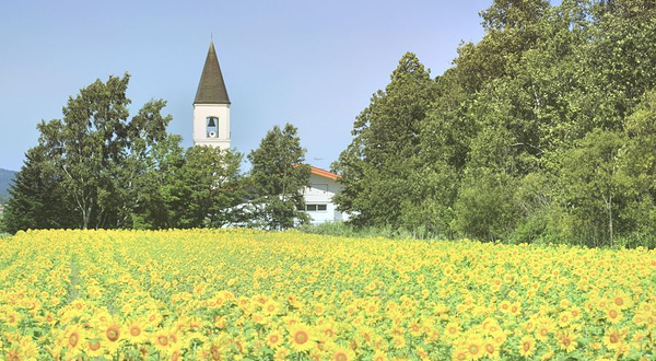 美瑛町立美马牛小学校