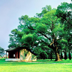 共和国摇篮旅游区-叶坪景区