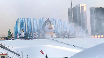 沈阳奥体冰雪嘉年华第 83 张图片