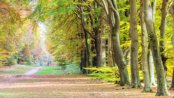 高费吕韦国家公园