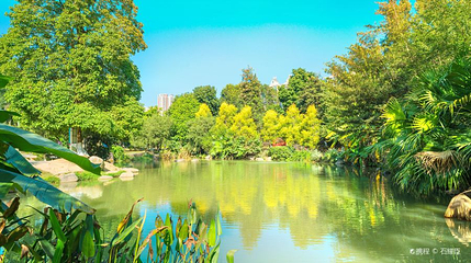 中山市树木园第 1 张图片