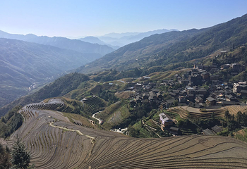 平安壮族梯田观景区第 19 张图片