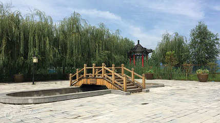 白洋淀梦里水乡第 4 张图片