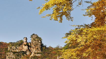 九路寨生态旅游区第 95 张图片