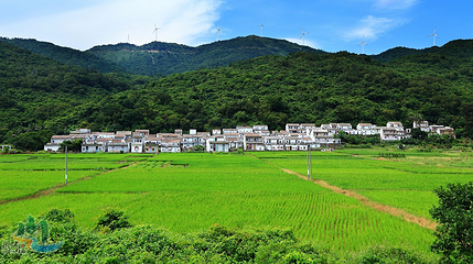 川岛旅游度假区第 12 张图片