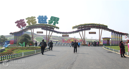 花花世界第 3 张图片