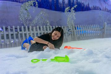 飘雪世界第 33 张图片