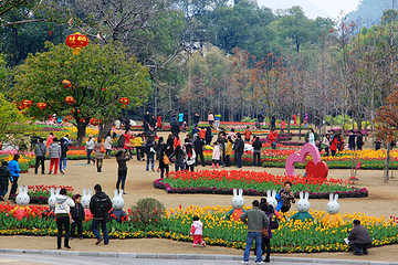 桂林市訾洲岛景区第 29 张图片