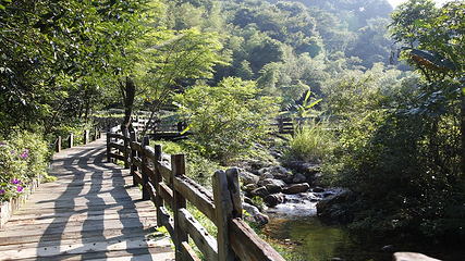 雁南飞茶田景区-桥溪古韵第 22 张图片