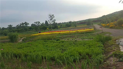 回龙山生态田园旅游区第 43 张图片