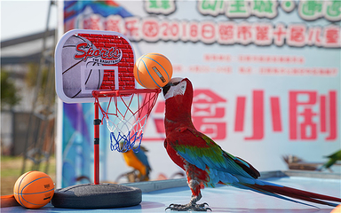 日照海洋公园第 170 张图片