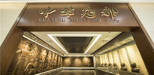 亳州市展览馆第 3 张图片