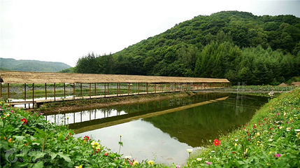 大北岔山风景区第 4 张图片