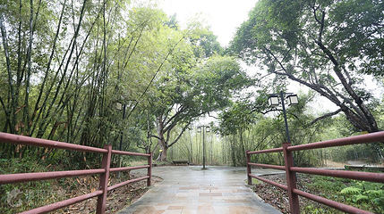 湖心岛第 6 张图片