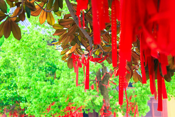 千灯古镇-延福禅寺第 19 张图片