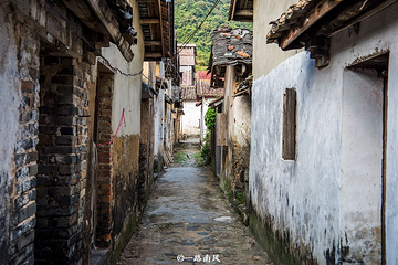 溪头旅游村第 13 张图片