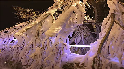 南湖乐众冰雪世界第 7 张图片