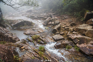 莽山旅游区国家森林公园第 52 张图片