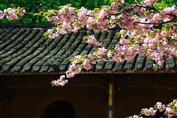 琅琊寺第 25 张图片
