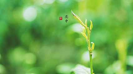 禹王庙第 5 张图片