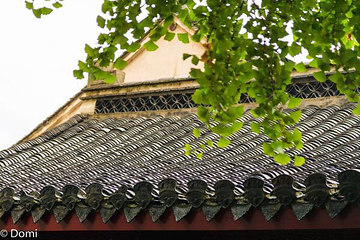 高淳老街第 22 张图片