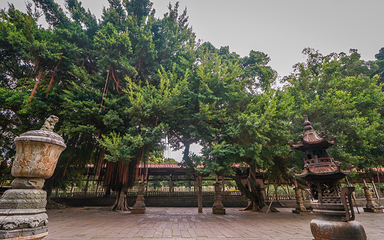 泉州开元寺第 65 张图片