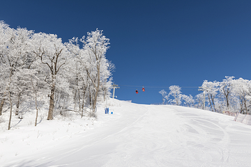 万达长白山国际滑雪场第 18 张图片