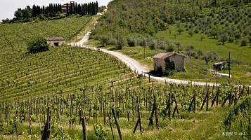 加约莱因基安蒂