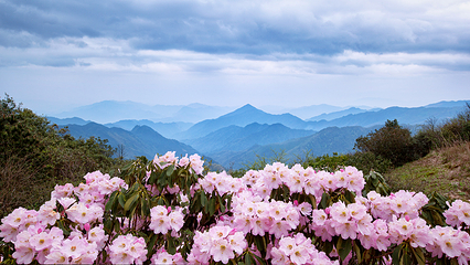 湖南云上大院景区第 5 张图片