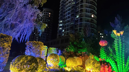 德惠市文化公园第 1 张图片