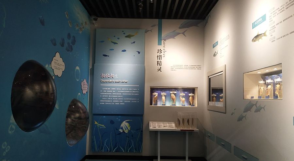 大化红水河水族馆