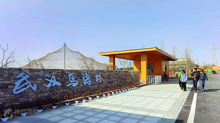龙灵山公园鸟语林第 2 张图片