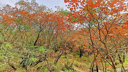 郑国渠旅游风景区第 43 张图片