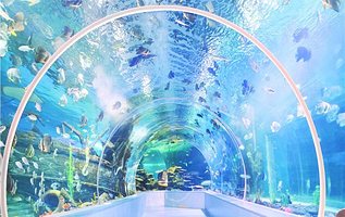 临沂海洋世界主题公园