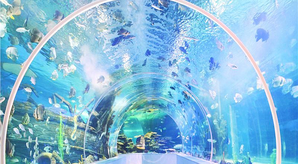临沂海洋世界主题公园