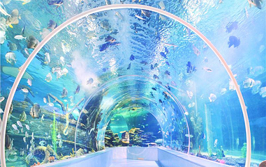 临沂海洋世界主题公园第 3 张图片