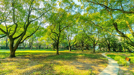 上海市杨浦区复兴岛公园第 1 张图片